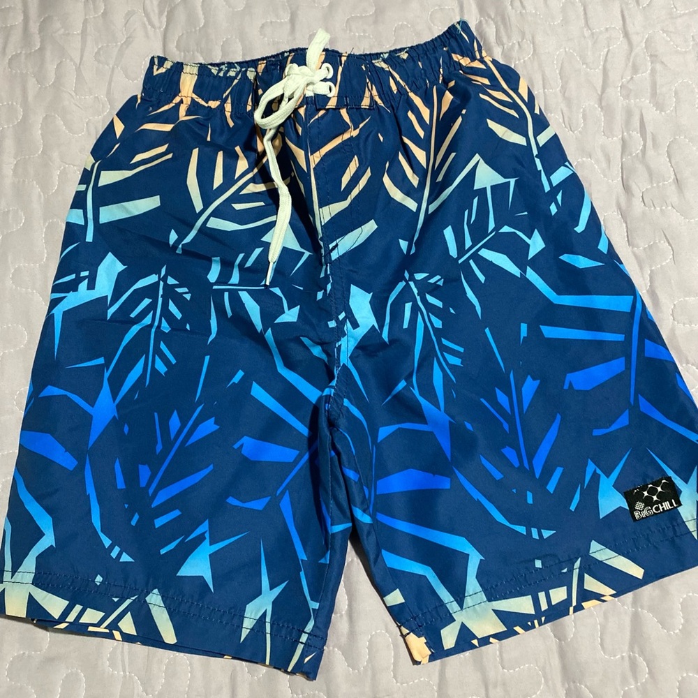 Big Chill Blue and Tan Swim Shorts
